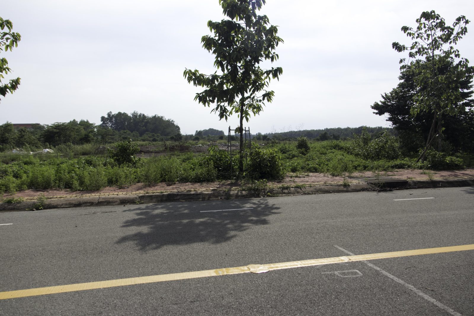 Phuoc Vinh Base Camp - Vietnam War Travel